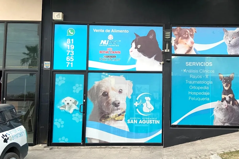 Entrada y ventanales de la sucursal Rangel Frías del Hospital Veterinario San Agustín